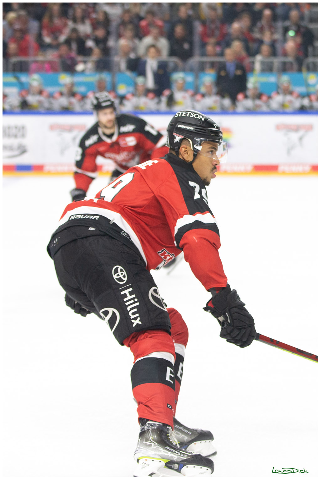 PENNY DEL;  Koelner Haie - Krefeld Pinguins; Koeln, 31.10.2021